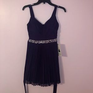 NWT Purple Pleated Dress